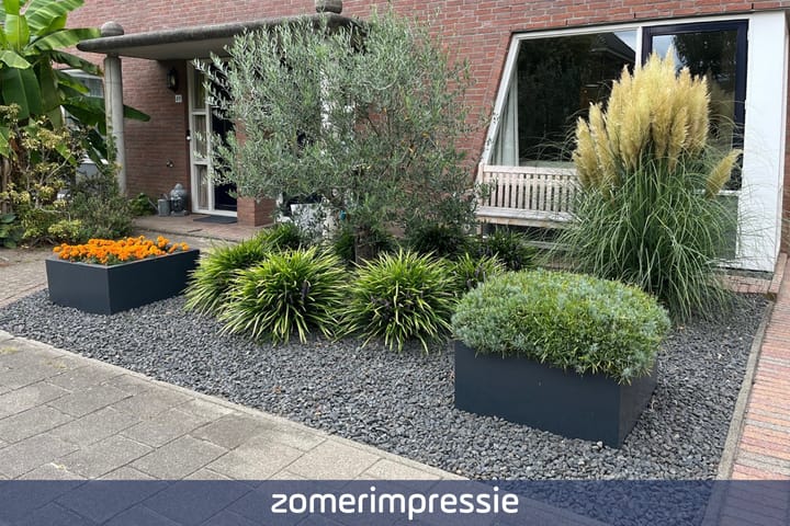 Foto 41 van de Loo 47