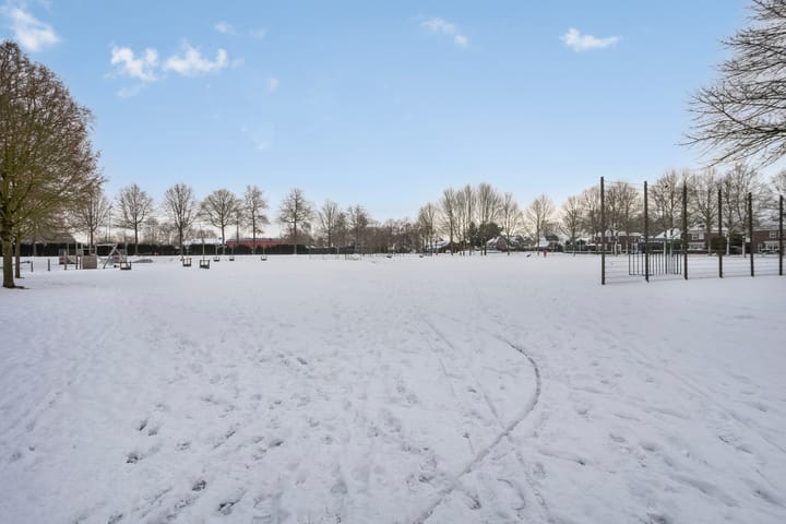 Foto 45 van de Loo 47