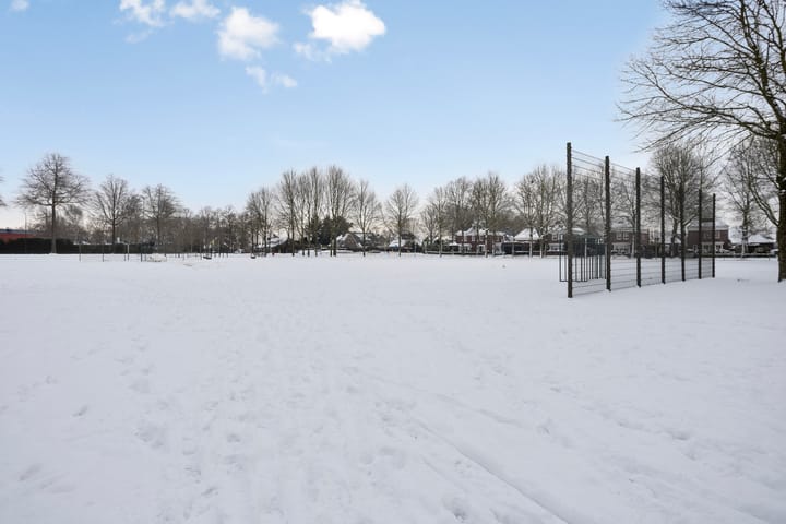 Foto 46 van de Loo 47