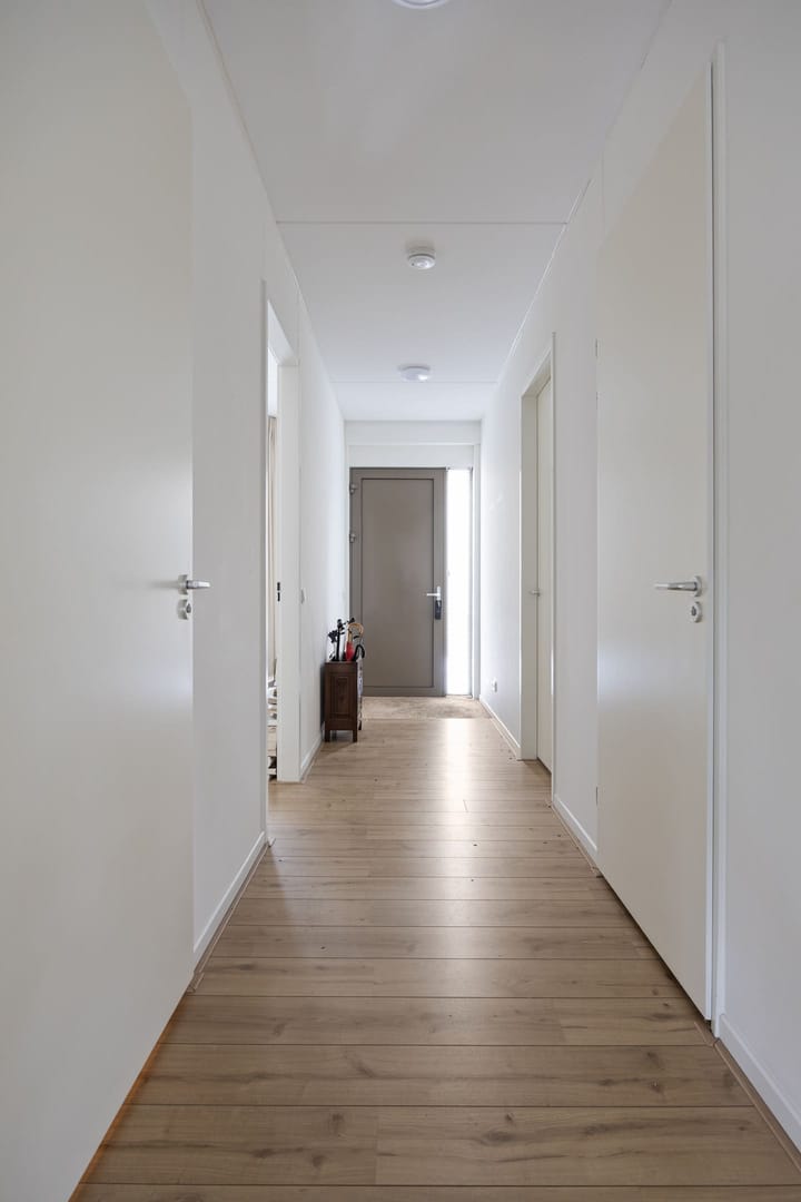 Photo 6 of Louis van der Maesenstraat 54