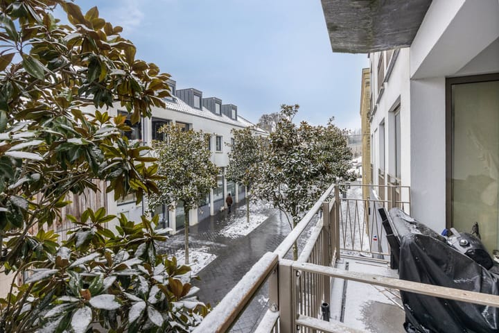 Photo 16 of Louis van der Maesenstraat 54