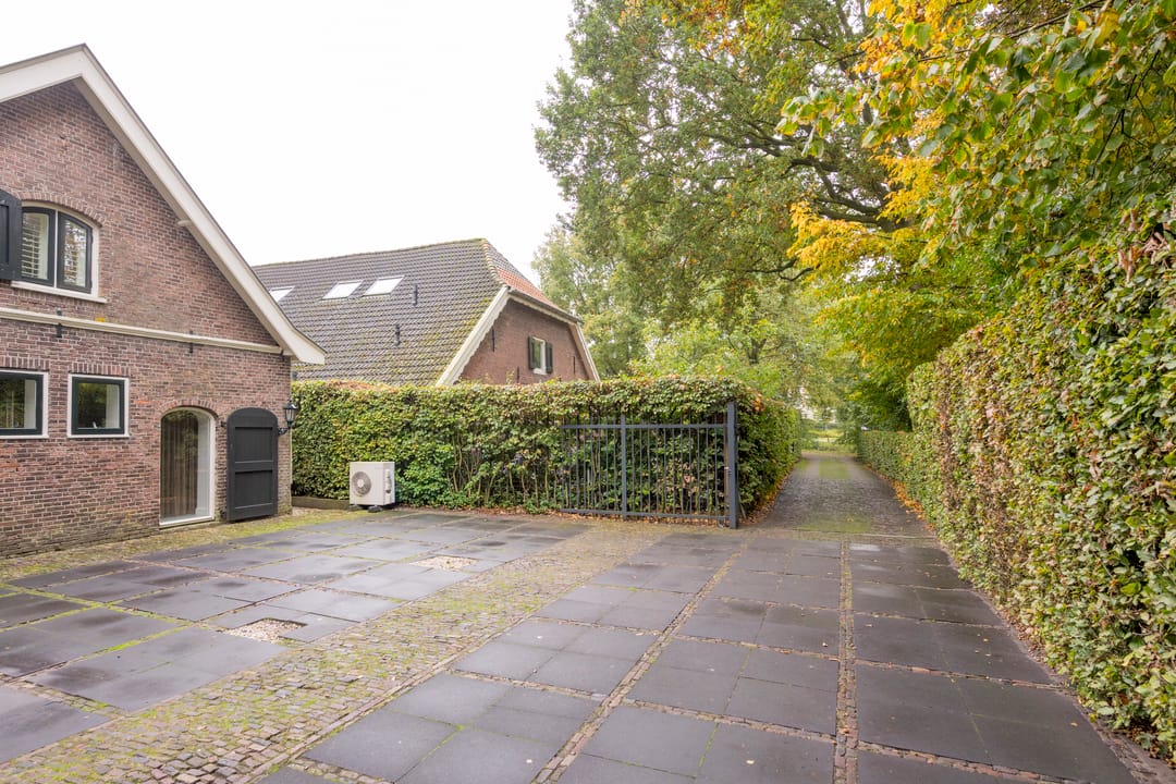 Photo 46 of Angeler 4