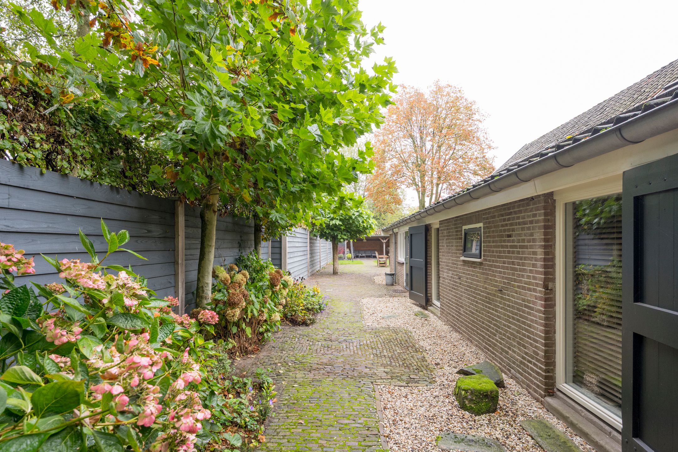 Photo 48 of Angeler 4