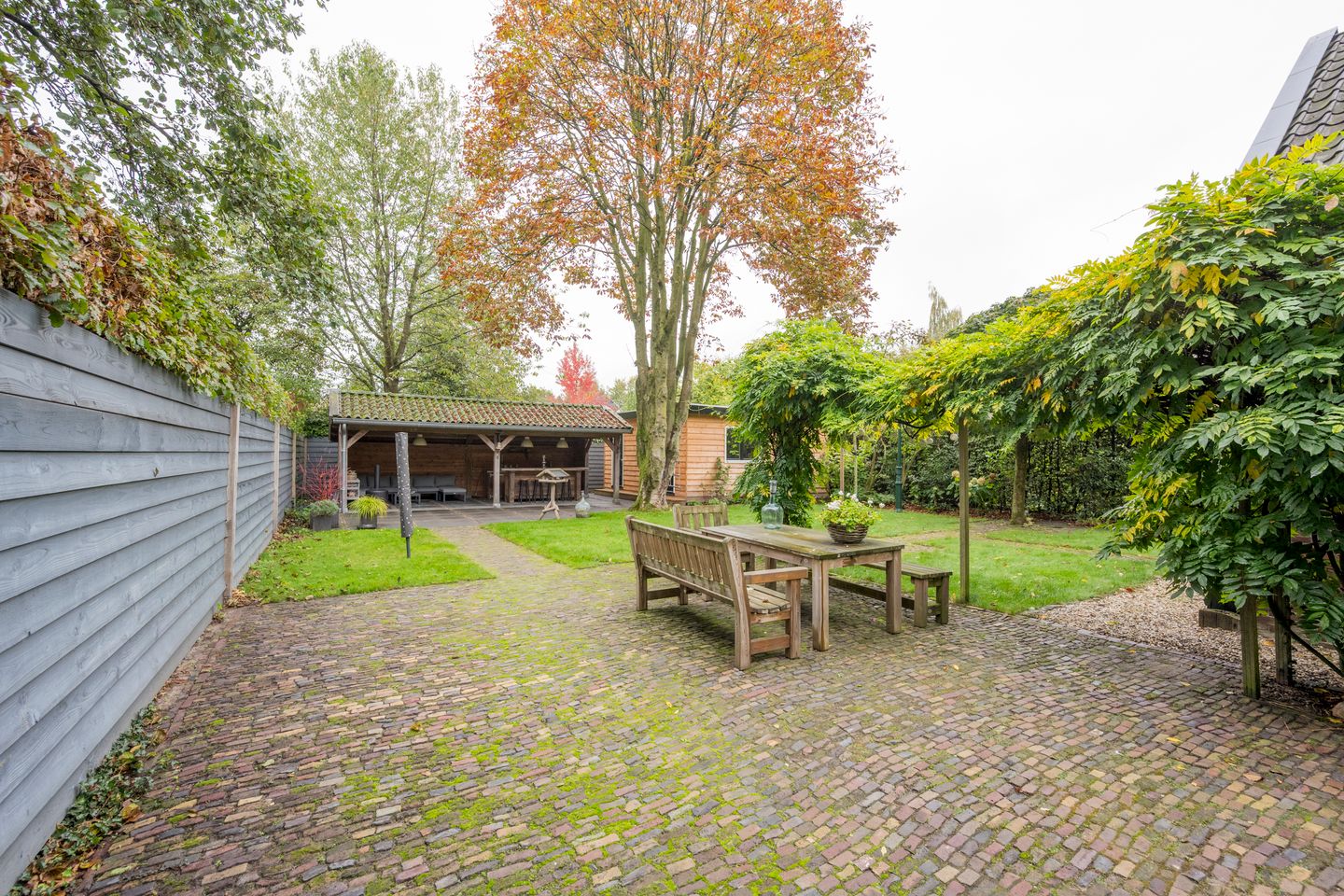 Photo 50 of Angeler 4