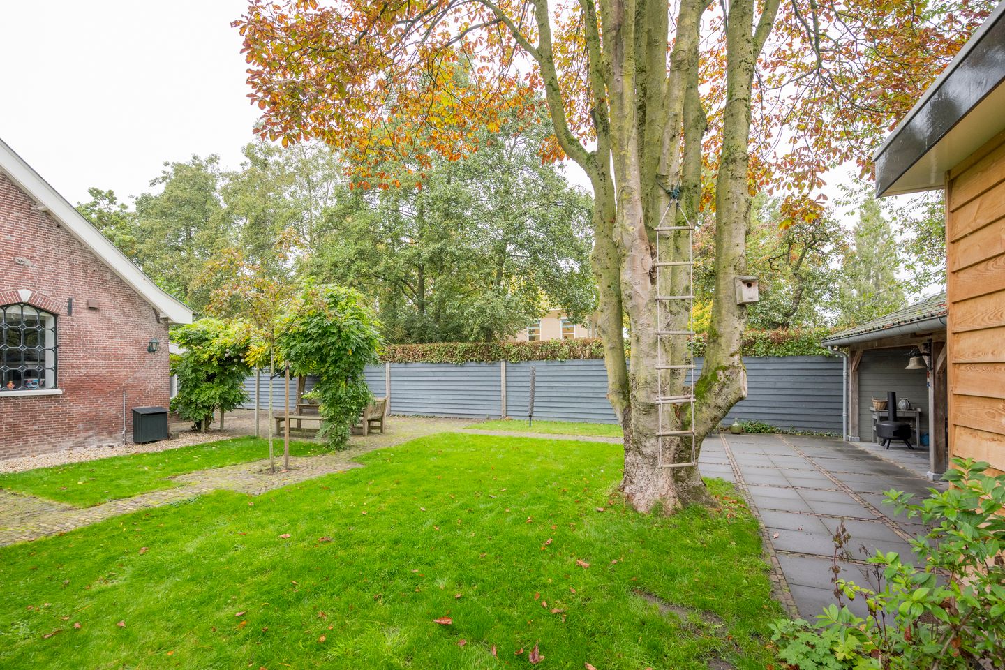 Photo 64 of Angeler 4