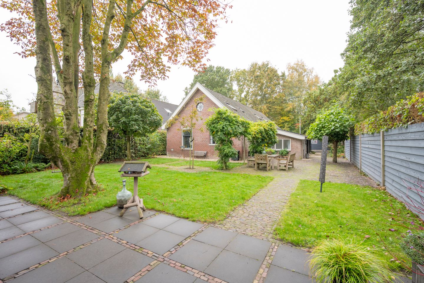 Photo 65 of Angeler 4