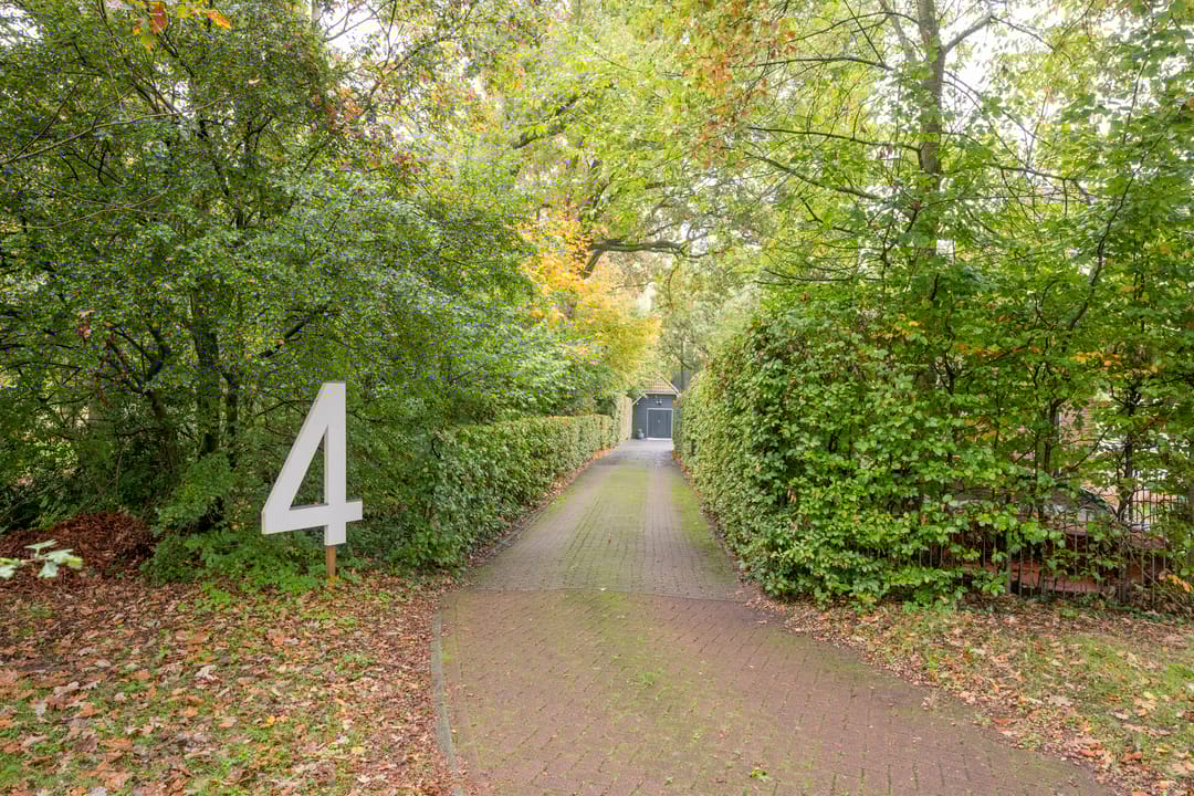 Photo 68 of Angeler 4