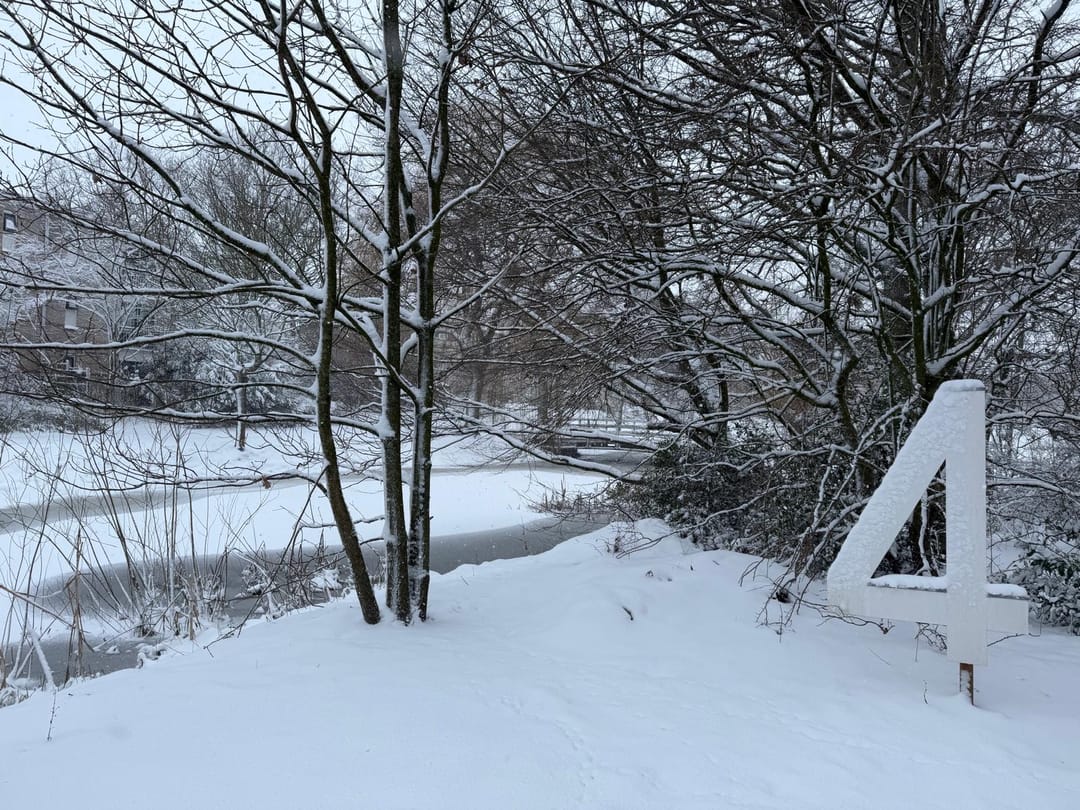 Photo 73 of Angeler 4