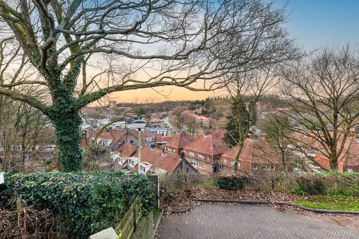 Foto 3 van Lijsterstraat 1