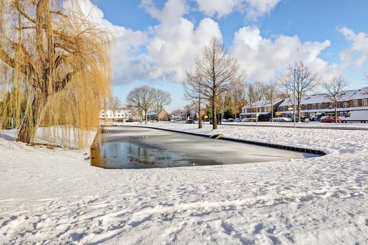 Photo 2 of Bovensim 60