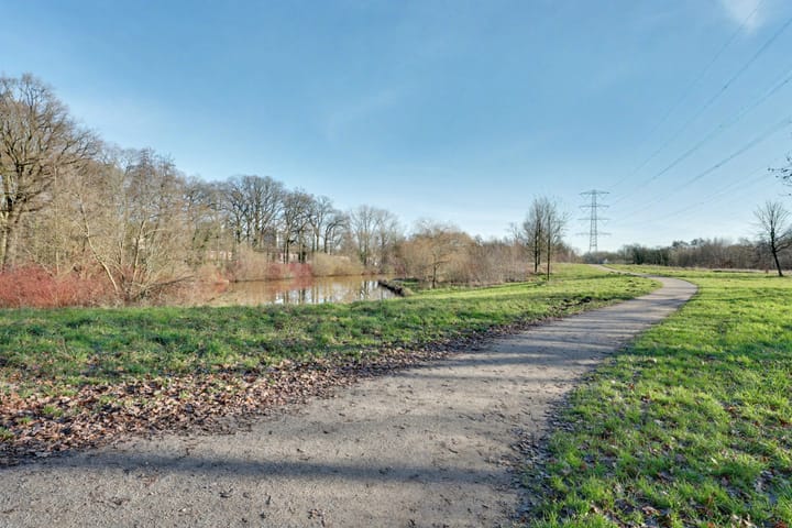 Foto 35 van Ommerbos 40