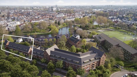 SAAM fase II tertiary image