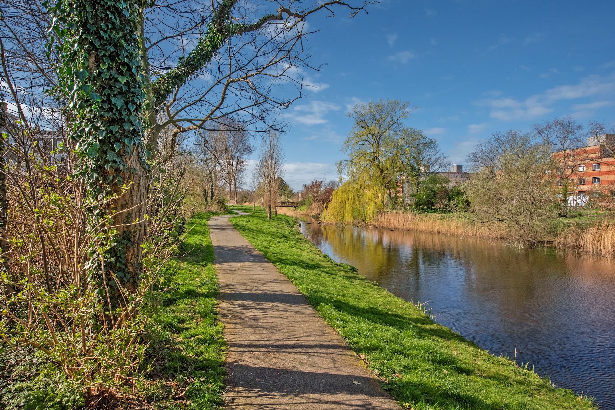 Foto 12 van Malvastraat 26