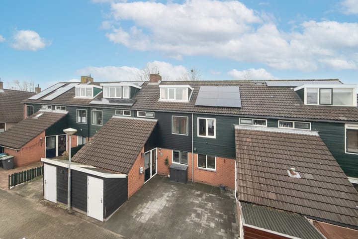 Haringbuis 58 main image