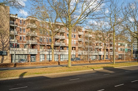 undefined main image