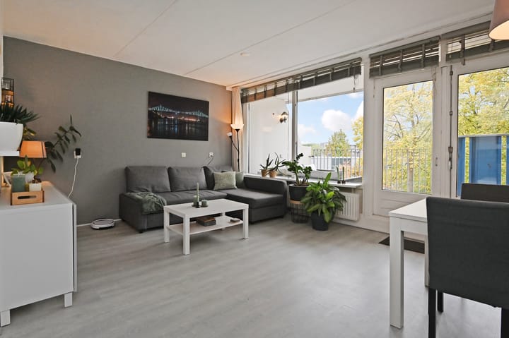 Hannie Schaftrode 66