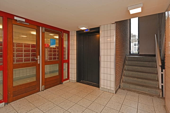 Foto 7 van Hannie Schaftrode 66