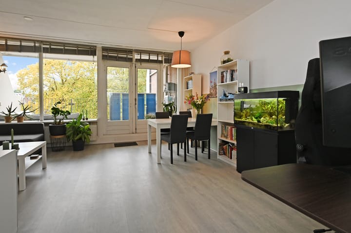 Foto 12 van Hannie Schaftrode 66