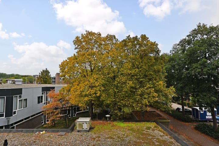 Foto 40 van Hannie Schaftrode 66