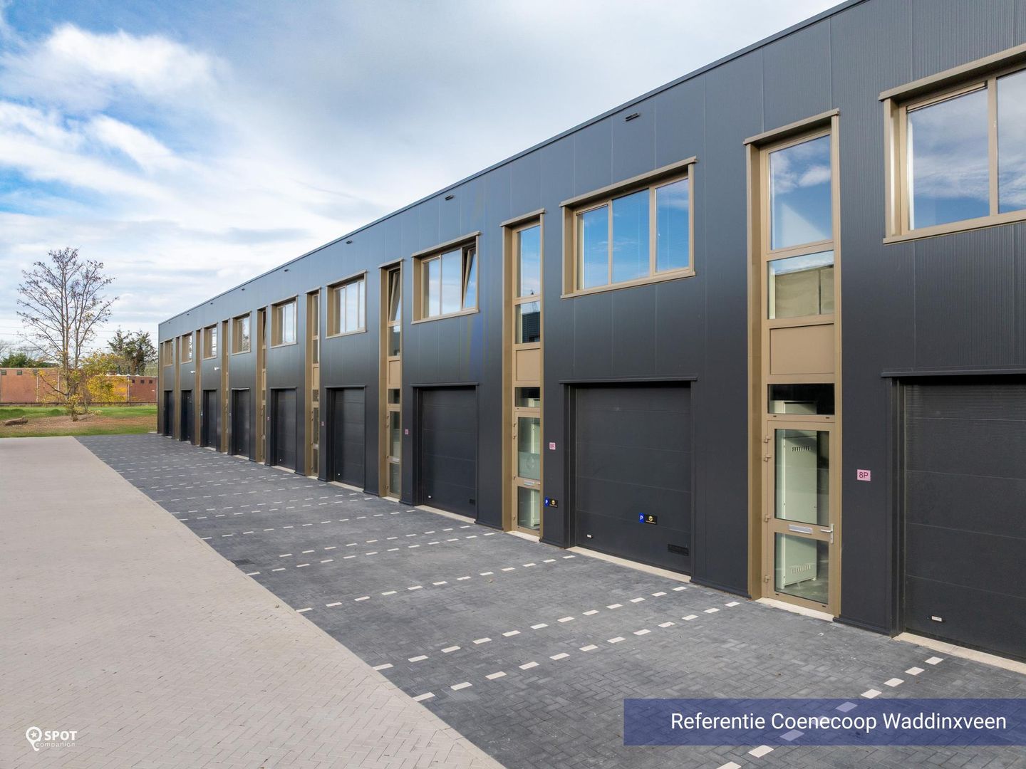 Bekijk foto 3 van Takkebijsters