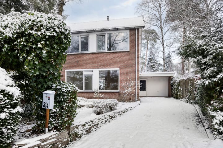 Foto 42 van Krugerstraat 314