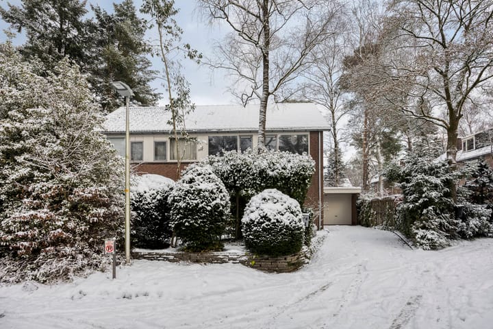 Foto 43 van Krugerstraat 314