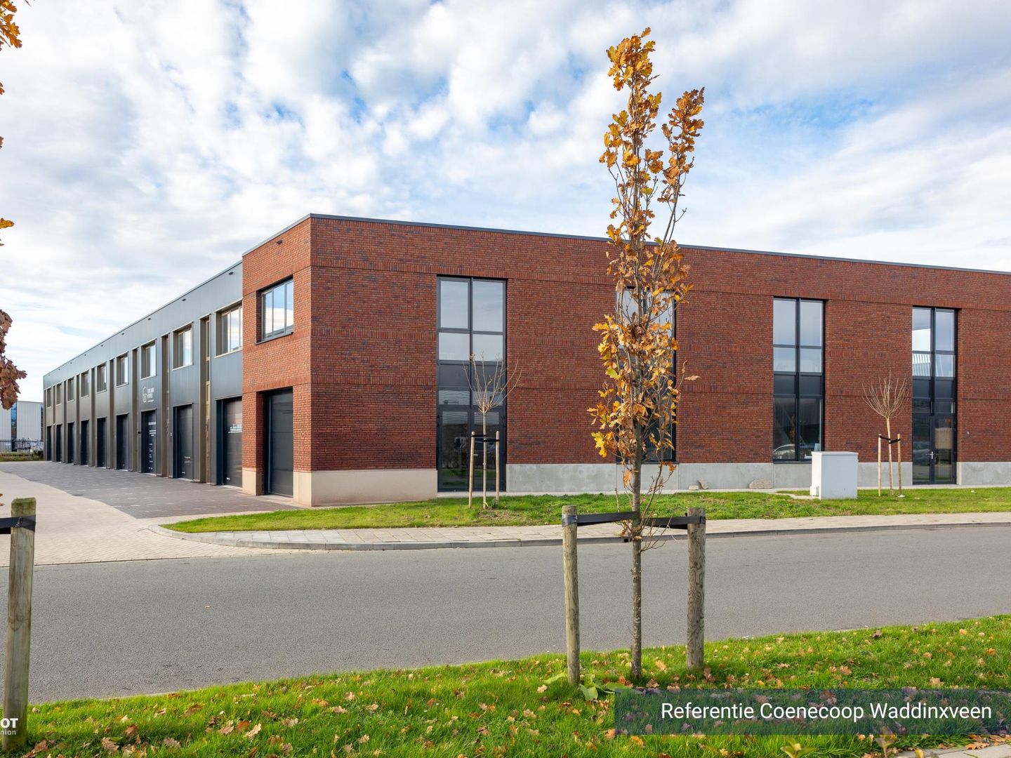 Bekijk foto 4 van Takkebijsters