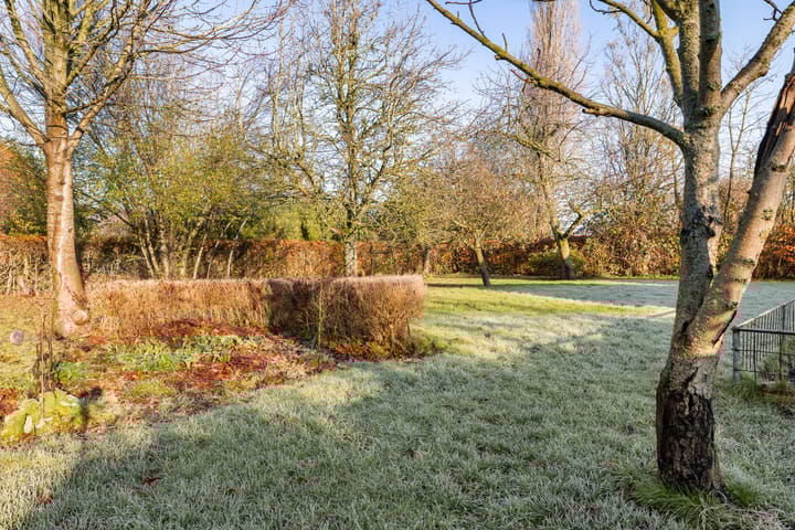 Foto 40 van Torenstraat 15