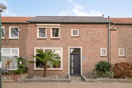 Wildpleintje thumbnail