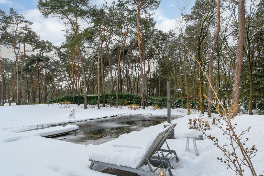 Foto 43 van Molenheide 12