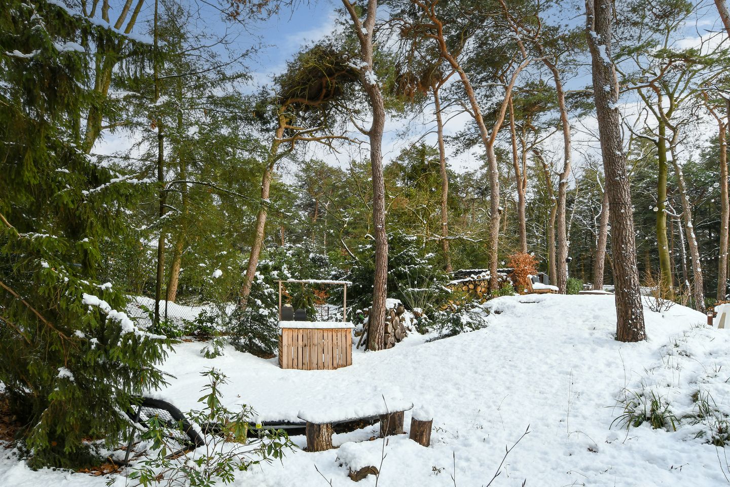 Foto 44 van Molenheide 12