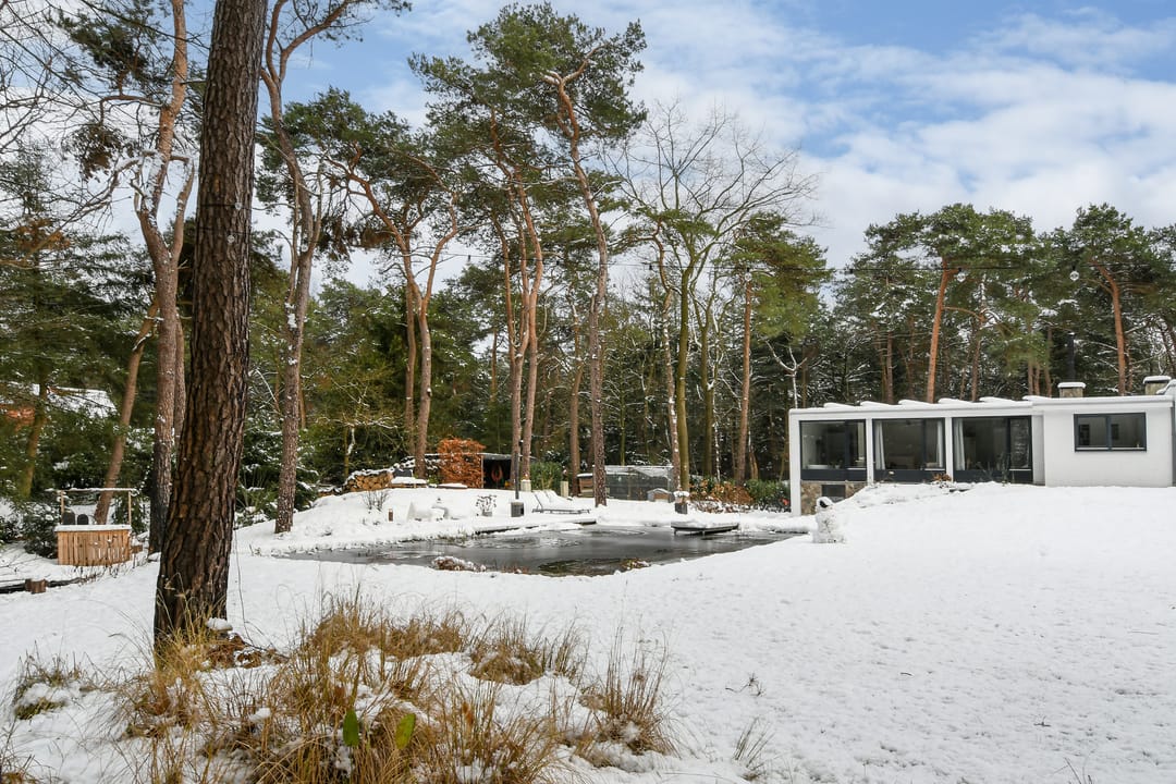 Foto 46 van Molenheide 12