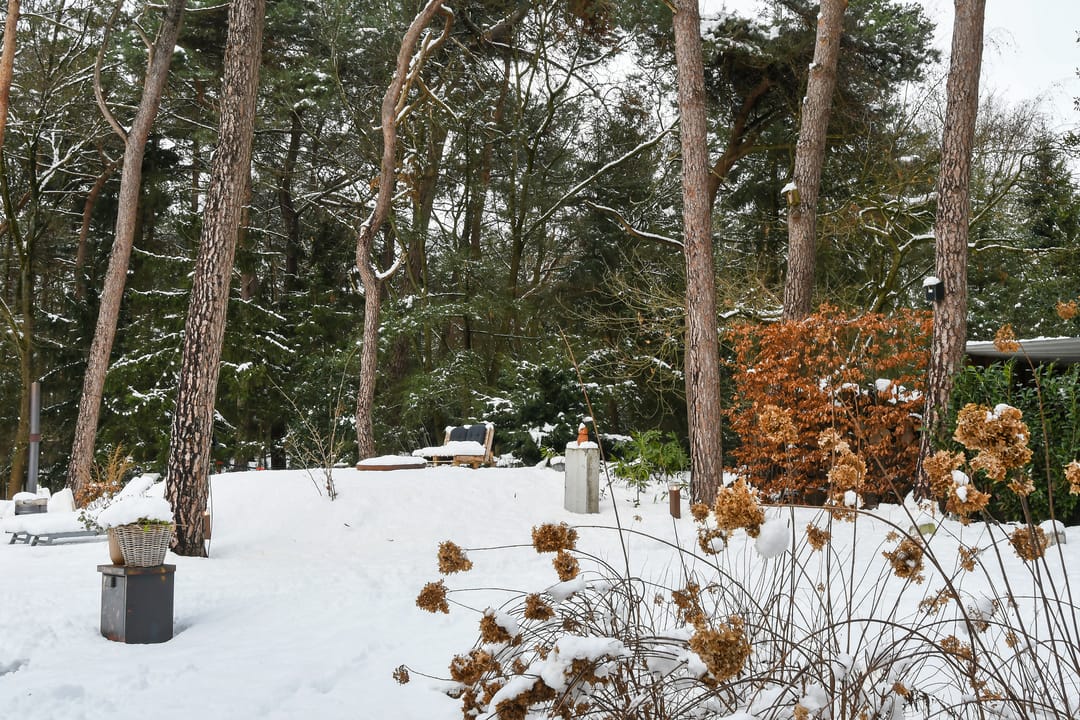 Foto 41 van Molenheide 12