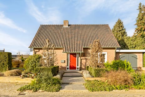 undefined main image