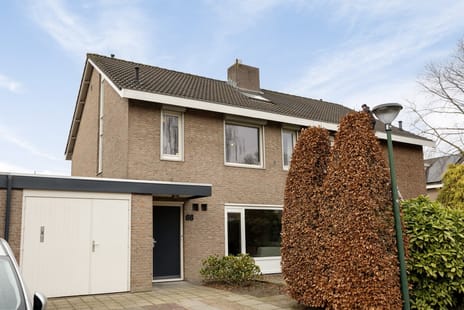 undefined main image