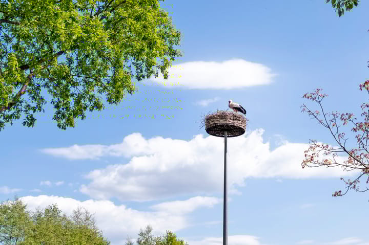 Foto 37 van Kibbelstuk 8