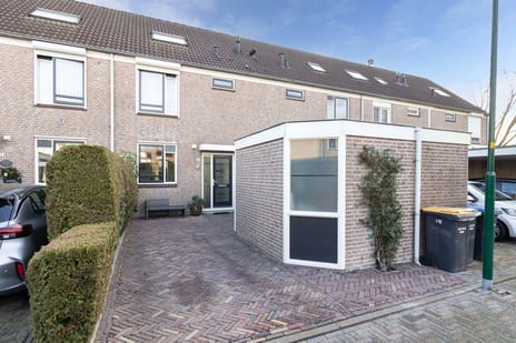 undefined main image