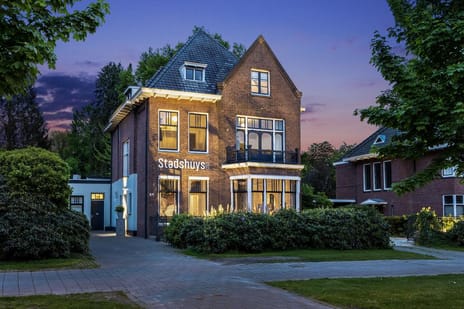 Oliemolensingel thumbnail