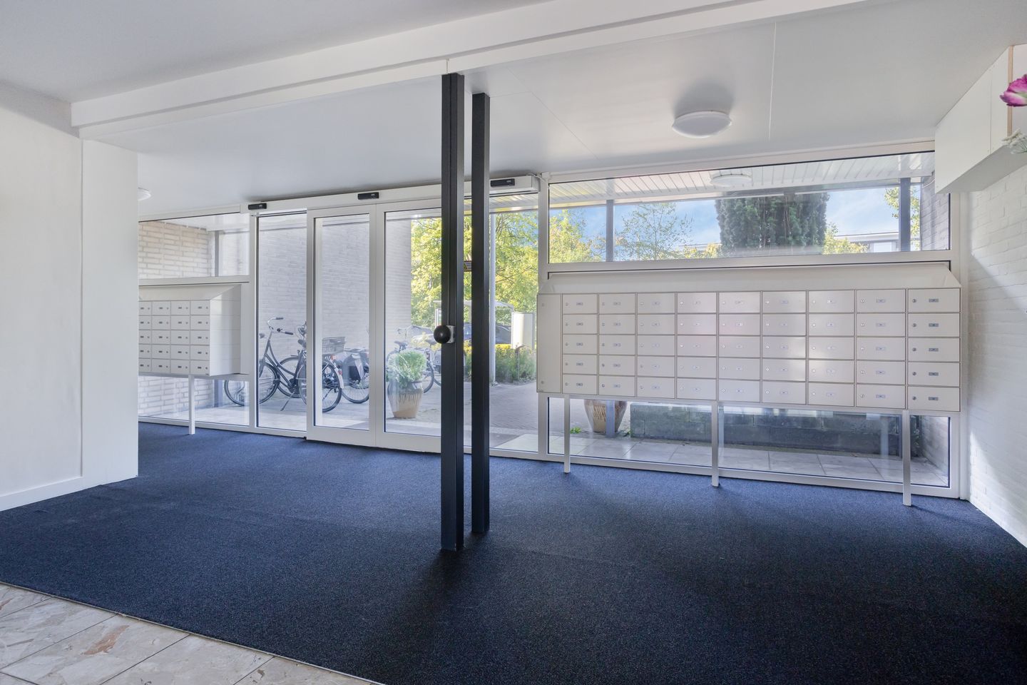 Photo 4 of Anemoonstraat 187