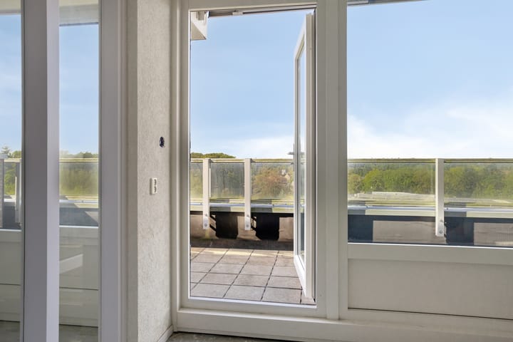 Foto 17 van Anemoonstraat 187