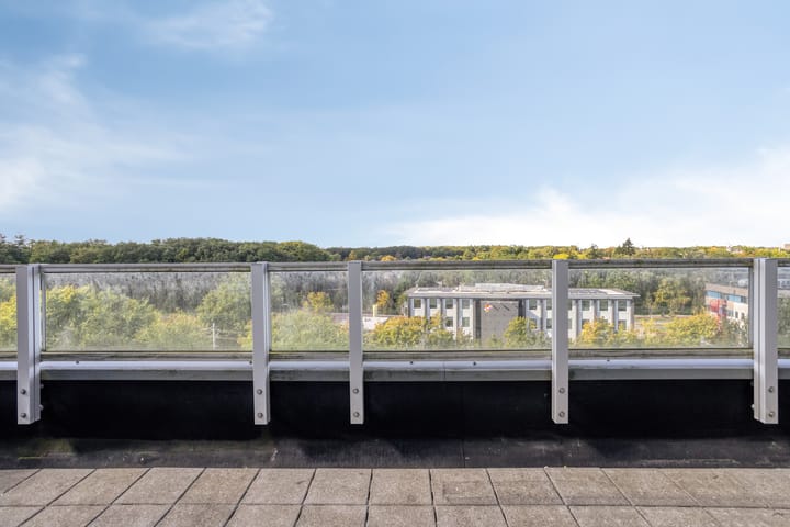 Foto 19 van Anemoonstraat 187