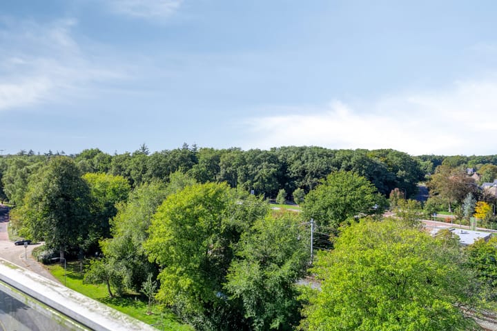 Foto 20 van Anemoonstraat 187