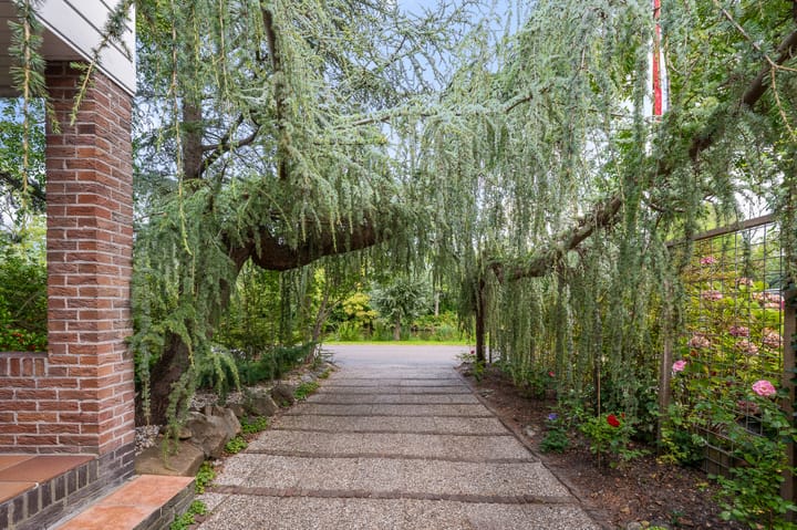 Foto 3 van Militaireweg 117