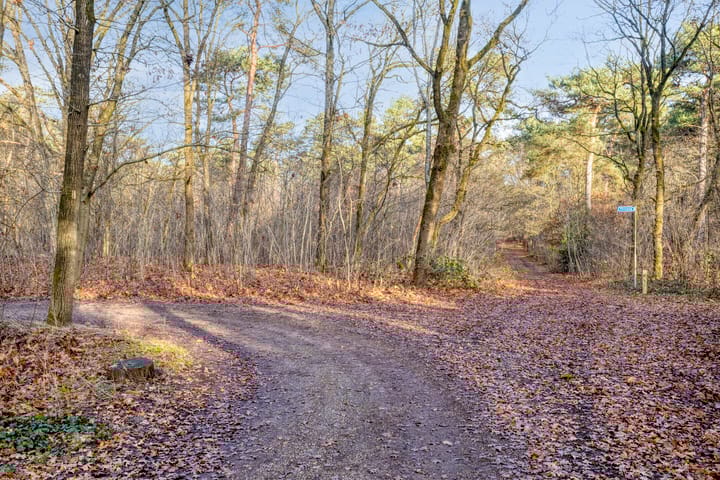 Foto 53 van Dennenlaan 4