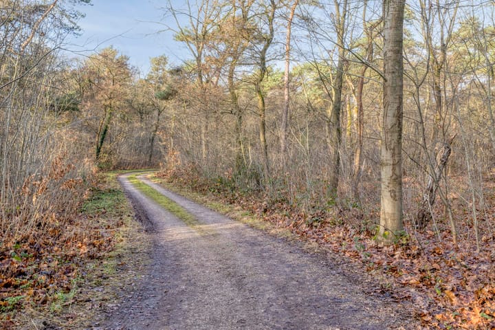 Foto 54 van Dennenlaan 4