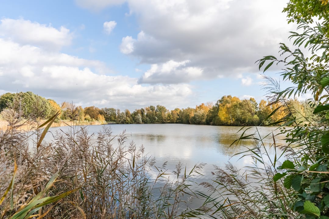 Photo 38 of Fangorn 48