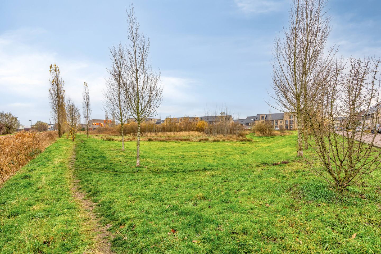 Foto 50 van Burgemeester de Geusstraat 12