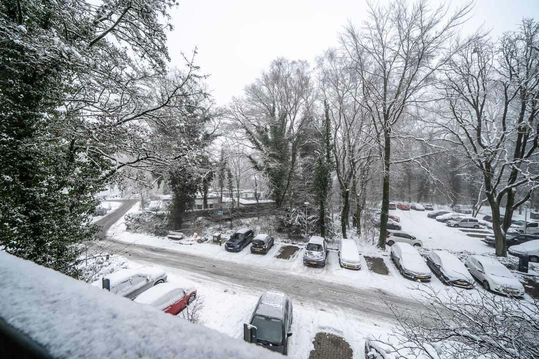 Foto 16 van De Zalmen 8