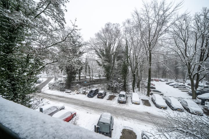 Foto 16 van De Zalmen 8