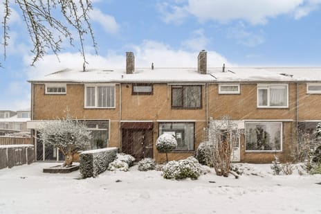 Abeelstraat thumbnail